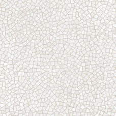 Coverlam Carrara Pulido 5.6 mm 120x120 Venezia з колекції Venezia Coverlam Carrara Pulido 5.6 mm 120x120 Venezia з колекції Venezia