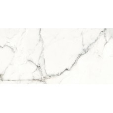 CALACATTA MONET WHITE SATIN RECT 59.8х119.8 (плитка для підлоги і стін)