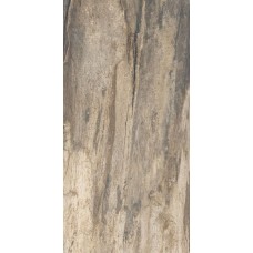 ректиф. (45х90) PETRIFIED TREE BEIGE BARK 944D1R з колекції Petrified Tree Emilceramica ректиф. (45х90) PETRIFIED TREE BEIGE BARK 944D1R з колекції Petrified Tree Emilceramica Petrified Tree Керамічна плитка Emil Ceramica — сторінка 2