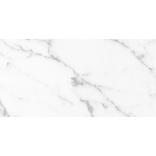 60x120 ARAL WHITE POLISHED RECT. Aral из коллекции Aral 60x120 ARAL WHITE POLISHED RECT. Aral из коллекции Aral Aral White Керамическая плитка Itt Ceramic