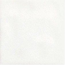 18 Bianco 10.7x10.7 Agata з колекції Agata Del Conca — керамограніт із Сан-Клементе, історія з 1979 року — сторінка 9