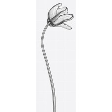 Настенная вешалка Van Der Hilst 4 Bianco Extra 80x220 Tuli Charme из коллекции Tuli Charme Tuli Charme