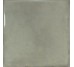 Плитка 15x15 Splendours Green 23973 з колекції Splendours Equipe