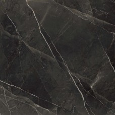 Am 2 Calacatta Black Honed Ret - 119.2x119.2 99989 Archimarble 2 з колекції Archimarble 2