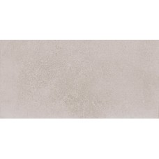 30x60 Avenue Grey-Avenue-P3046 из коллекции Avenue Avenue Керамическая плитка Aleluia