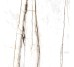 Плитка Am 2 Sahara Blanc Honed Ret - 59.6x59.6 99993 Archimarble 2 из коллекции Archimarble 2 Cerdisa