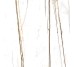 Плитка Am 2 Sahara Blanc Honed Ret - 59.6x59.6 99993 Archimarble 2 из коллекции Archimarble 2 Cerdisa