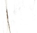 Плитка Am 2 Sahara Blanc Honed Ret - 59.6x59.6 99993 Archimarble 2 из коллекции Archimarble 2 Cerdisa