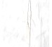 Плитка Am 2 Sahara Blanc Honed Ret - 59.6x59.6 99993 Archimarble 2 из коллекции Archimarble 2 Cerdisa