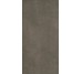Плитка бетонная Знаки Грязь Листья 4 8 мм - 60x120 4.8CONC60120MUDLEA Бетонные знаки з колекції Бетонные знаки Gigacer