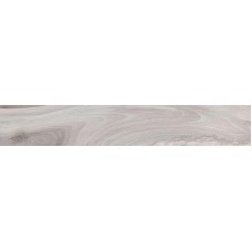 Grigio Rett Levigato 20x120 Lucido з колекції Lucido