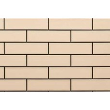 Gladka Krem 6.5x24.5 Elewacja з колекції Elewacja Gladka Krem 6.5x24.5 Elewacja з колекції Elewacja Elewacja Керамічна плитка Cerrad