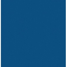 Декор 124 Mr Sport 24.5x24.5 Swimming Pools з колекції Swimming Pools Exagres плитка — сторінка 7