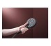 RAINDANCE ALIVE SELECT S душовий набір EcoSmart (ручний душ 3режими, шланг, тримач), чорний матовий