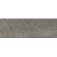 (45x118) Fenix Gris Rec Nplus - Fenix з колекції Fenix Fenix Керамічна плитка Fanal