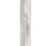 Плитка (24.3x99.5) PO2510RL Petrified Wood White Rett/Lapp - Petrified Wood з колекції Petrified Wood Ascot