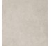 Плитка CAMOUFLAGE SILVER BET NAT R - 120x120 PF60016238 Camouflage з колекції Camouflage Ariana