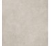 Плитка CAMOUFLAGE SILVER BET NAT R - 120x120 PF60016238 Camouflage з колекції Camouflage Ariana
