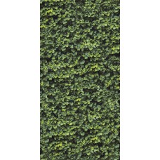 120x240 Arborea B - Limpha - 11560123 з колекції Limpha 120x240 Arborea B - Limpha - 11560123 з колекції Limpha Limpha Керамічна плитка Casalgrande Padana