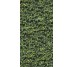 Плитка 120x240 Arborea B - Limpha - 11560123 з колекції Limpha Casalgrande Padana