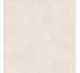MDAS CARACTER BLANCO RT 100х100 (плитка для пола и стен)