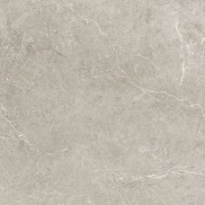 Nival Gris Mate Satinado Rect - 100x100  Nival з колекції Nival