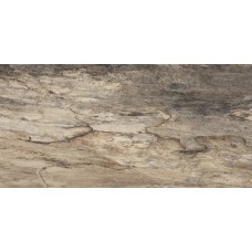Biege Bark Nat 45x90 Petrified Tree з колекції Petrified Tree Biege Bark Nat 45x90 Petrified Tree з колекції Petrified Tree Petrified Tree Керамічна плитка Emil Ceramica