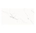 LIORA WHITE GLOSSY (1 сорт)