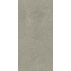 30x60 Omni Iron Pol-Omni-31222184U1 з колекції Omni Omni Керамічна плитка Revigres