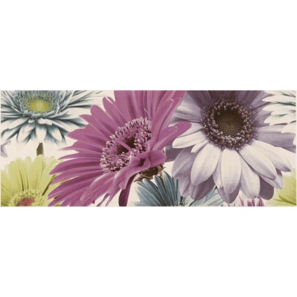 Декор (20x50) D2049 Decorgerbera2 - Spoony з колекції Spoony Aleluia