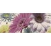 Декор (20x50) D2049 Decorgerbera2 - Spoony з колекції Spoony Aleluia