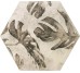 Плитка 32x36,8 Amazonia Tropic Grey з колекції Amazonia Zyx ZYX