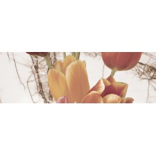 Декор (25x75) Decor Tulip 3 - Финляндия з колекції Финляндия Mallol Испания — страница 4