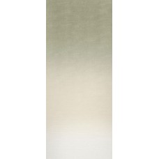 IRIDEA DEGRADE ALGA - 50x120 J658 Iridea з колекції Iridea Iridea