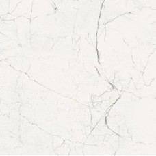 ARCADIA TECNO BIANCO 60X60 NATURAL з колекції Arcadia Arcadia