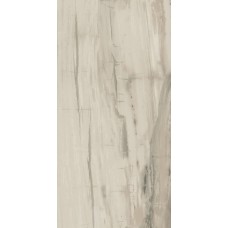 (30x60) PO320 Petrified Wood Beige - Petrified Wood з колекції Petrified Wood Ascot Petrified Wood Керамическая плитка Ascot Ceramiche