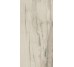 Плитка (30x60) PO320 Petrified Wood Beige - Petrified Wood з колекції Petrified Wood Ascot