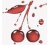Декор (50x50) Decor Cerises-2 - Recife з колекції Recife Novogres