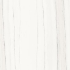 (60x60) PL6517 Zebrino Bianco Lucidato - Marmi Classici з колекції Marmi Classici (60x60) PL6517 Zebrino Bianco Lucidato - Marmi Classici з колекції Marmi Classici