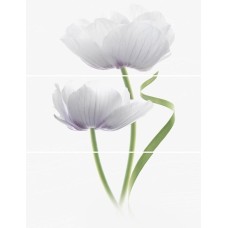 Декор (90x70) Decor Alissa-3 - Wind з колекції Wind Wind