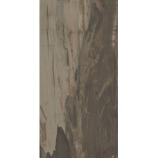 (49.6x99.5) PO160R Petrified Wood Brown Rettificato - Petrified Wood з колекції Petrified Wood Ascot (49.6x99.5) PO160R Petrified Wood Brown Rettificato - Petrified Wood з колекції Petrified Wood Ascot