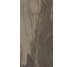 Плитка (49.6x99.5) PO160R Petrified Wood Brown Rettificato - Petrified Wood з колекції Petrified Wood Ascot