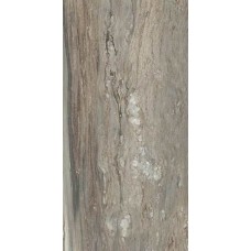 Tropical Glossy 60x120 Etoile з колекції Etoile