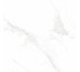Плитка Lumiere White Pulido Rect. 100х100 з колекції Lumiere STN