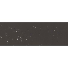 40x120 Primavera Nero - Primavera - BOA95 з колекції Primavera 40x120 Primavera Nero - Primavera - BOA95 з колекції Primavera Primavera Керамическая плитка Mutina