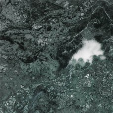 (30.5x30.5) Verde India Ant Cerato Q/CE30.5 - Anticato Cerato из коллекции Anticato Cerato Anticato Cerato — страница 2