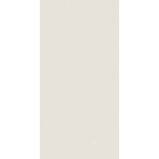 (30x60) 31002117C1 Alloy Brilho Nat - Unicolor из коллекции Unicolor (30x60) 31002117C1 Alloy Brilho Nat - Unicolor из коллекции Unicolor Unicolor Керамическая плитка Revigres