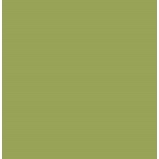 (60x60) Green Polished - Colors з колекції Colors (60x60) Green Polished - Colors з колекції Colors Colors Керамічна плитка Todagres