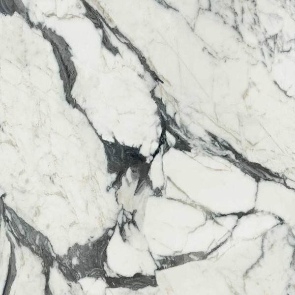 Плитка Calacatta Altissimo Glossy 160x160 Les Bijoux Rex з колекції Les Bijoux Rex