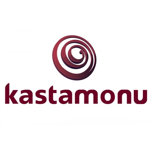 Логотип ламінату Kastamonu